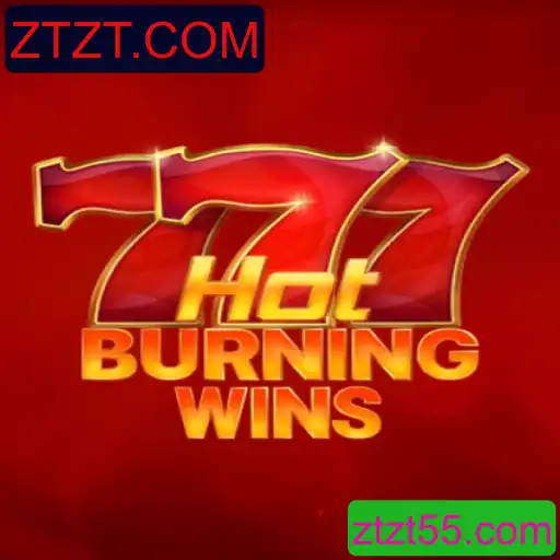 Descubra o Jogo 'HotBurningWins': Um Guia Completo